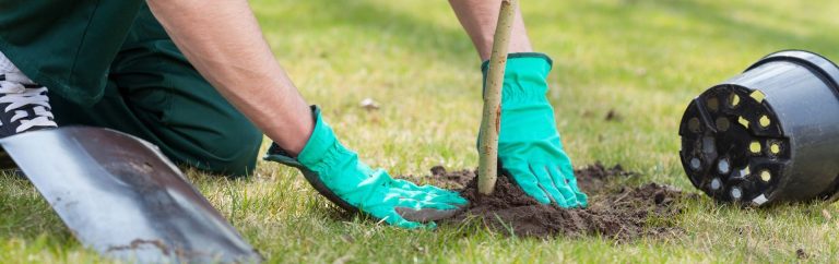 What Does a Horticultural Labourer Do? Breaking Down the Responsibilities of a Landscaper